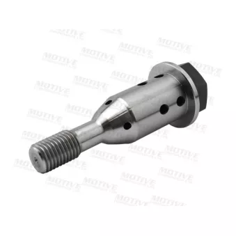 Valve de commande, réglage d'arbres à came MOTIVE [VVTS2207]