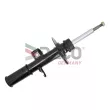 DACO Germany 450320R - Amortisseur avant droit