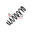 Ressort de suspension DACO Germany [802206]