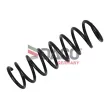 DACO Germany 811012 - Ressort de suspension