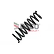 Ressort de suspension DACO Germany [811705]