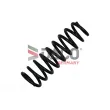 Ressort de suspension DACO Germany [811707]