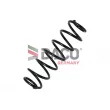 DACO Germany 814214 - Ressort de suspension