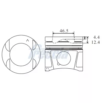 Piston FRECCIA OEM 6000616490