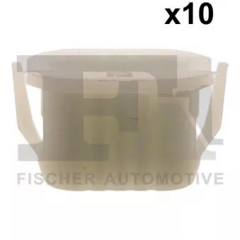 FA1 21-60002.10 - Clip, enjoliveur