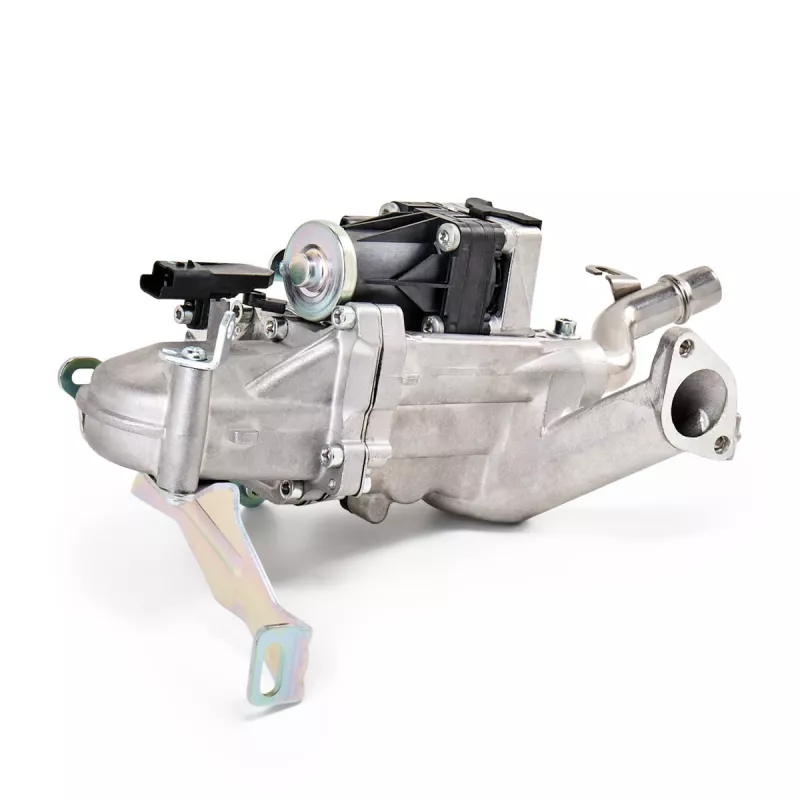 Ensemble vanne EGR, radiateur DELPHI EG10452-12B1 - Visuel 2