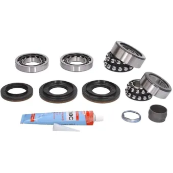 LUK 462 0148 10 - Kit de réparation, différentiel