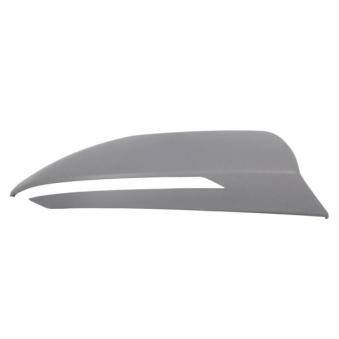 BLIC 6103-20-2410311P - Revêtement, rétroviseur extérieur