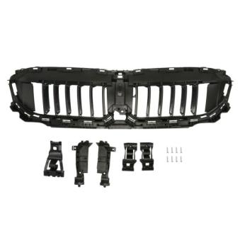 Grille de radiateur BLIC 6502-07-0064994P
