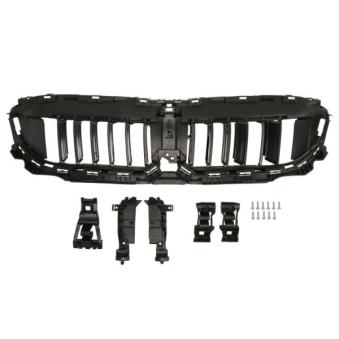 Grille de radiateur BLIC 6502-07-0064995P