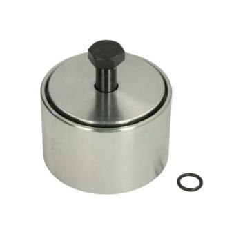 Kit de montage, poulie de renvoi (courr trapéz à nervures) BTA OEM 504006261