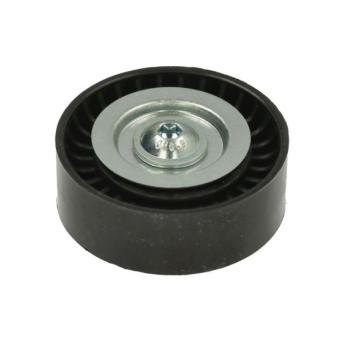 Poulie renvoi/transmission, courroie trapézoïdale à nervures BTA OEM 252872A010