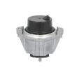 Support moteur REINHOCH [RH11-3173]