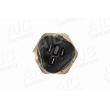 AIC 52221 - Interrupteur de température, ventilateur de radiateur
