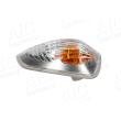 AIC 53540 - Feu clignotant