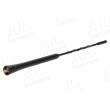 AIC 55028 - Antenne