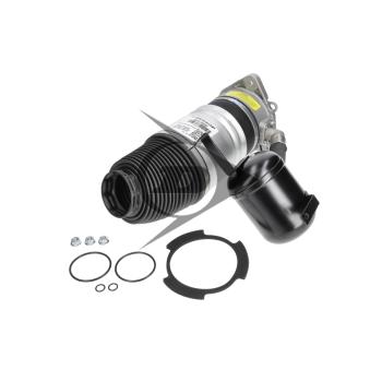 Ressort pneumatique, châssis arrière gauche AIC OEM 4E0616001N
