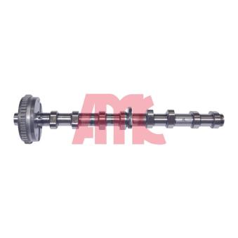 Arbre à came AMC OEM 06H109021K