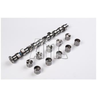 Jeu d'arbres à came AMC OEM A6020501301