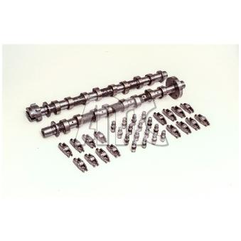 Jeu d'arbres à came AMC OEM 8200456103