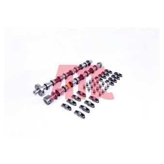 Jeu d'arbres à came AMC OEM 8200456103