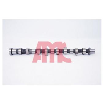 Arbre à came AMC OEM 13020AD20A