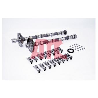 Jeu d'arbres à came AMC OEM 1015B105