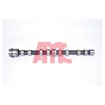 Arbre à came AMC OEM 504246093