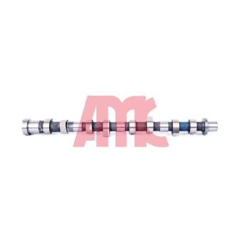 Arbre à came AMC OEM 13020AD212