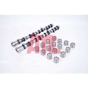 Jeu d'arbres à came AMC OEM 13020AD212