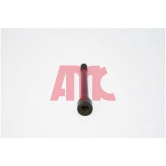 Jeu de boulons de culasse de cylindre AMC 258148