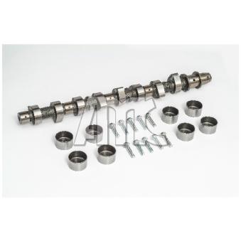 Jeu d'arbres à came AMC OEM 1350154060