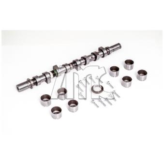 Jeu d'arbres à came AMC OEM 1300100Q0B