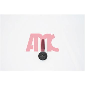 Jeu de boulons de culasse de cylindre AMC 258289