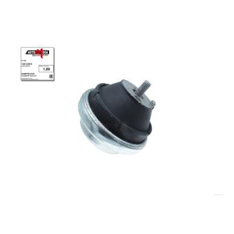 Support moteur AUTOMEGA 130112910 pour OPEL OMEGA 2.5 TD - 131cv