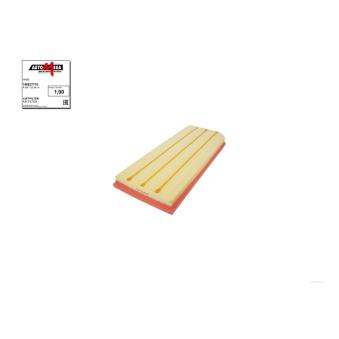 Filtre à air AUTOMEGA OEM 06F133843A