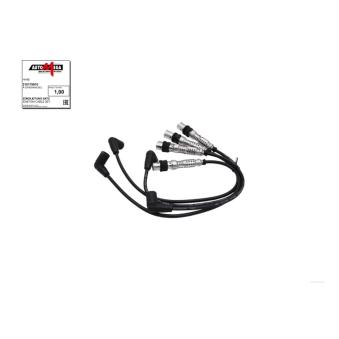 Kit de câbles d'allumage AUTOMEGA [210179910]