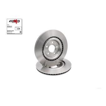 Jeu de 2 disques de frein arrière AUTOMEGA 250280310 pour AUDI A6 55 TFSi e quattro - 367cv