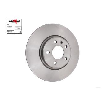 Jeu de 2 disques de frein avant AUTOMEGA OEM 8R0615301