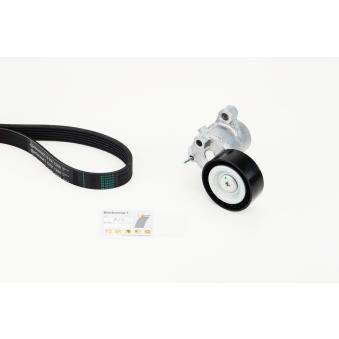 Jeu de courroies trapézoïdales à nervures CONTITECH 6PK1250K1 pour FORD PUMA 1.0 EcoBoost - 95cv