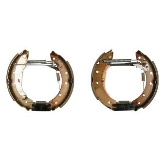 Kit de freins arrière prémontés KIT SUPERPRO BOSCH OEM 7701205318
