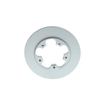 Jeu de 2 disques de frein arrière BOSCH OEM 2226519