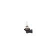 BOSCH 1 987 301 131 - Ampoule