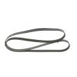Courroie trapézoïdale à nervures BOSCH [1 987 946 080]