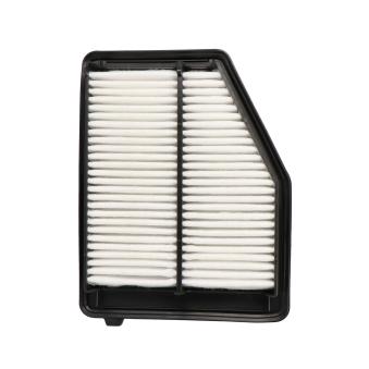 Filtre à air Dr!ve+ OEM 17220R1AA01