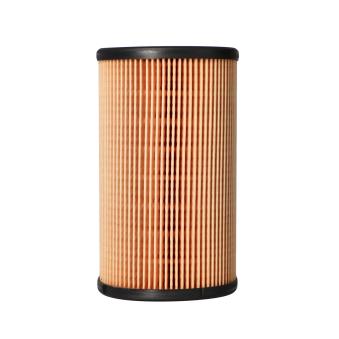 Filtre à carburant Dr!ve+ [DP1110.13.0064]