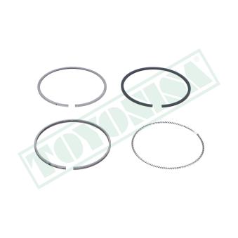 Jeu de segments de pistons TOYONISA PRHD407721D 0.50 pour FORD TRANSIT 1.6 CRDi 90 - 90cv Jeu de segments de pistons TOYONISA PRHD407721D 0.50 pour FORD TRANSIT 1.6 CRDi 90 - 90cv