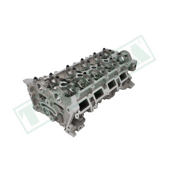 Culasse de cylindre TOYONISA OEM 110410224R