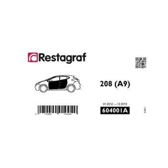 Kit de clip de fixation, carrosserie RESTAGRAF 604001A pour PEUGEOT 208 1.4 GPL - 95cv