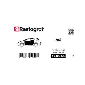 Kit de clip de fixation, carrosserie RESTAGRAF 604003A pour PEUGEOT 206 1.9 D - 69cv